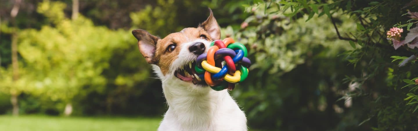 Product of dienst-2-header