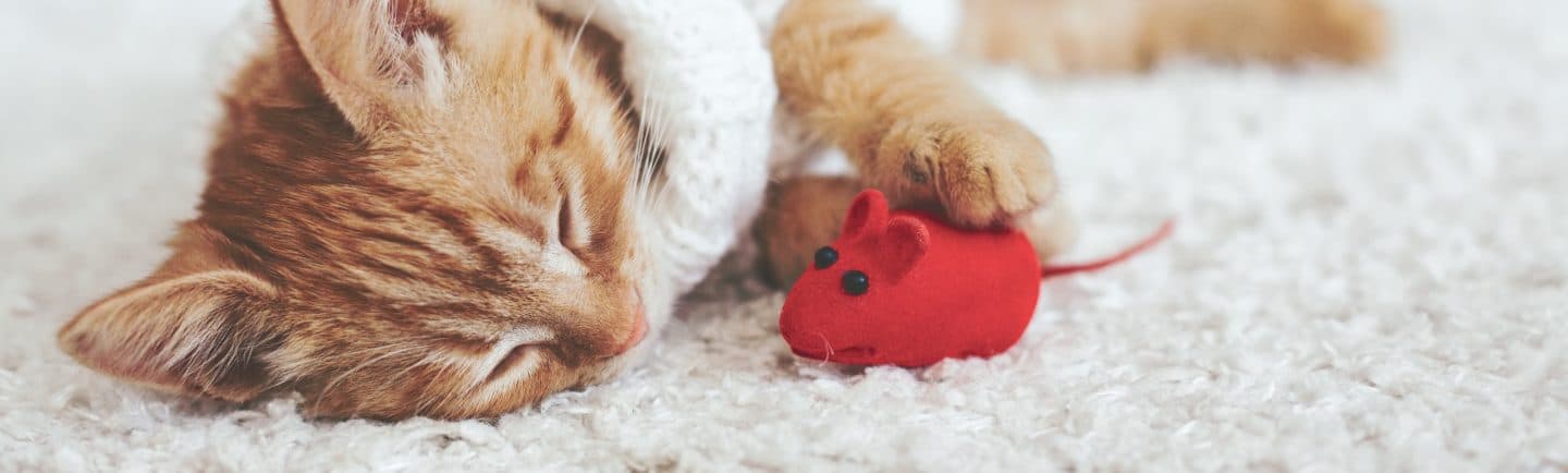 Product of dienst-header