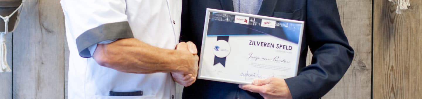 Header Zilveren Speld