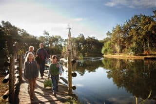 Bosrijk sfeerbeeld_1280x853px_E_NR-6018