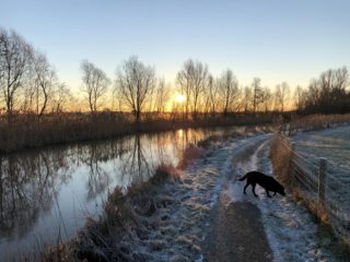 Dimitri van der Ark_IIIII